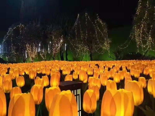 國(guó)際燈雕工藝品廠家與景觀亮化藝術(shù)