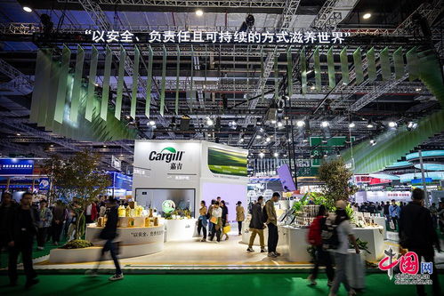 科技推動農業綠色新格局 進博為橋，期待改變中國的菜籃子