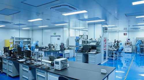 嘉定科技新篇章 國產打印頭與單細胞分選設備引領2025生物科技革新